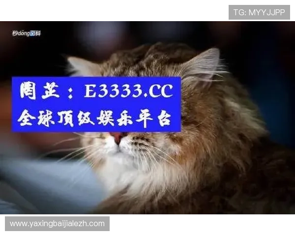 AG真人公司是如何打造高品质真人娱乐体验，赢得用户信赖的详细解析