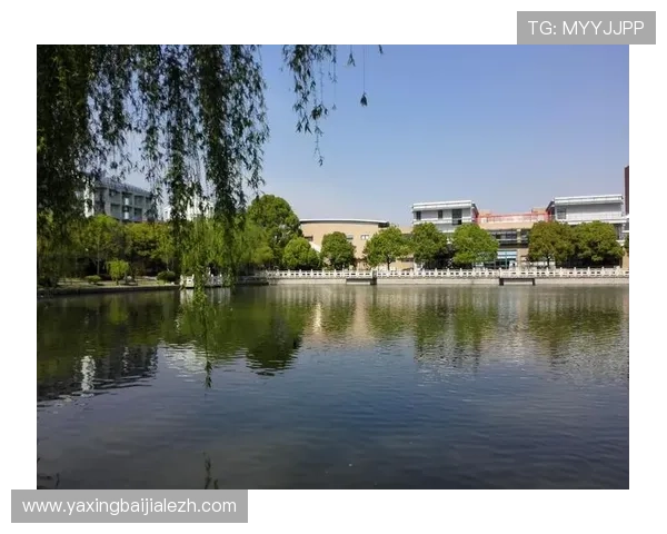 应对电子游戏精神鸦片：学校和社会应共同打造健康绿色的游戏环境