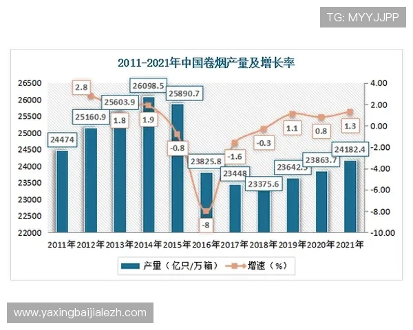 K8视讯公司在推动网络游戏行业数字化转型中的关键作用与发展前景