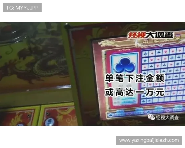 全面解析百家乐模拟游戏的玩法策略，帮助新手玩家快速入门实现赢钱梦想