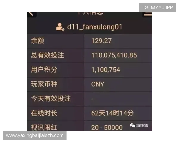 全面解析AG百家乐的基本规则与常见玩法，助你提升游戏胜率和娱乐体验